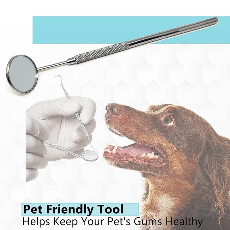 Стоматологическое зеркало №5 из нержавеющей стали с ручкой 6,2 дюйма, инструмент для стоматолога для осмотра чистки зубов