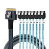 NFHK SlimSAS To SATA Target Slim SAS 8i 1 To 8 SATA RAID Drive Cable Meter Host/RAID Cable, 4.0 SFF-8654 74-Pin 7-Pin Controller/Hard 1.64 Feet/0.5