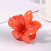 Seaside Vacation Hair Clip Back Of The Head With Multi-Color Optional Bauhinia Clip