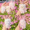 Cherry Blossom Bear Rabbit Cat Plush Keyring For Teen Girls And Collectors