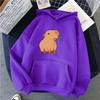Funny Capybara Kawaii Cartoon Print Women Hoodies Hip Hop Clothes Hooded Sweatshirts Streetwear Hoodie Female Hoody