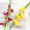 Artificial Gladiolus Flowers 22" Real Touch Flower with Long Stem 4 Full Blooms