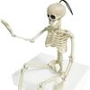 Скелет украшения на Хэллоуин 40 см Подвижные забавные реалистичные пластиковые скелеты для дома с привидениями кладбище сцены реквизит для вечеринки