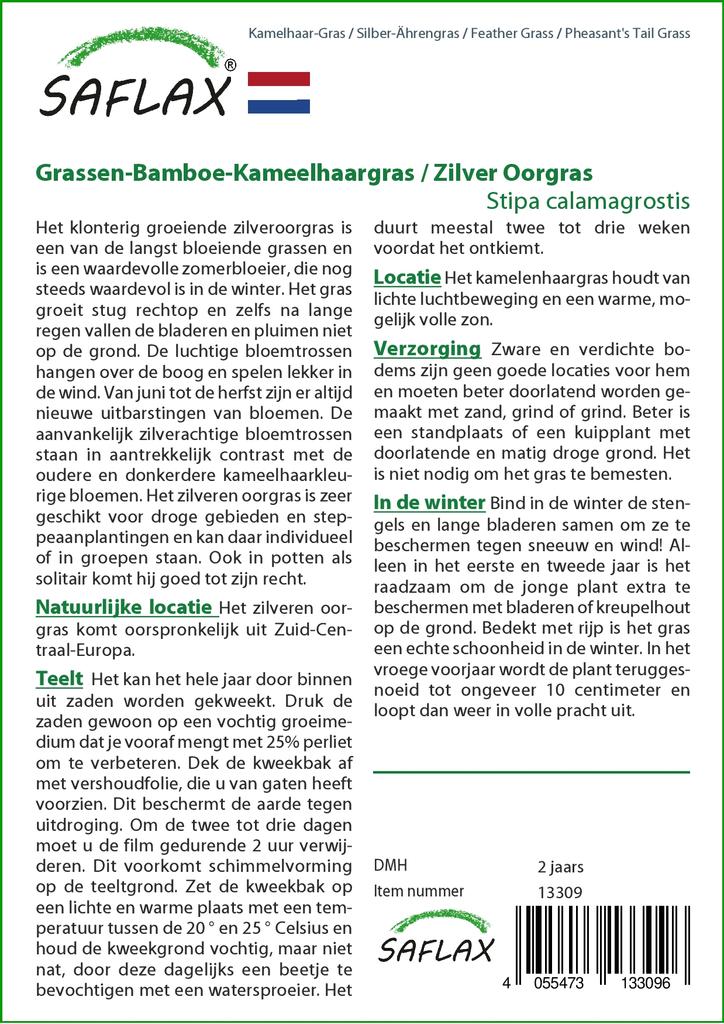 SAFLAX Ковыль / Трава фазаньего хвоста - 50 семян - Stipa Calamagrostis