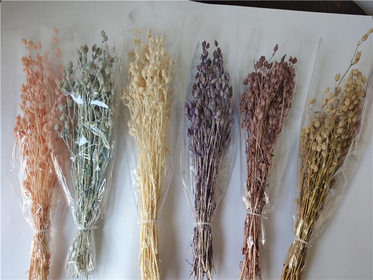 Flytrap Dried Flowers for Weddings & Home Décor - DIY Flower Arrangement with Real Flowers & Fruit