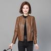 Autumn New Leather Coat Women's Short Leather Coat Loose and Slim Women's Jacket Skin Shield