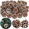 Natural Pinecone Ornaments, Pine Cones Bulk Natural Pinecones Assortment for Fall Winter Christmas Bowl Fillers (White Dotted 15pcs)