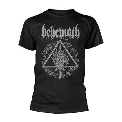 Футболка Behemoth унисекс для взрослых Furor Divinus