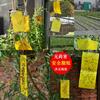 Timeless 5pcs Outdoor Yellow Sticky Glue Flying Pest Insect Papers Traps For All Your Gardening Needs