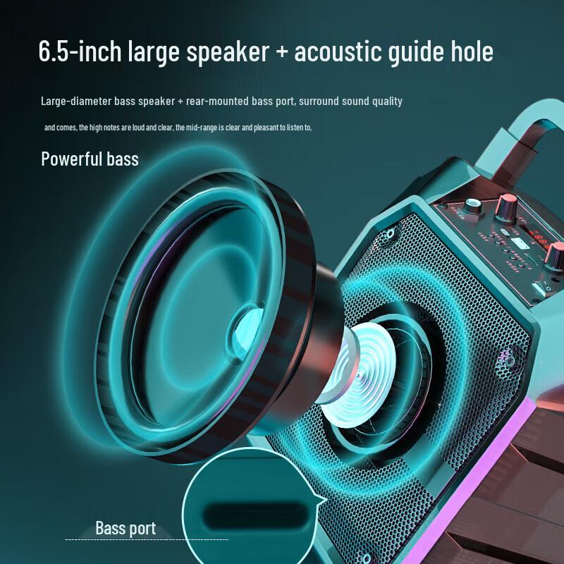 Newman K97 Portable KTV Bluetooth Speaker
