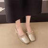 French Mary Jane Shoes Silver Light Mouth Temperament with Skirt Spring and Autumn Single Shoes Women's 2025 New Versatile Commuter Women's Shoes