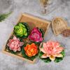 5Pcs Artificial Floating Water Lilylotus Flower Pond Decor 10Cm Artificial Lotus
