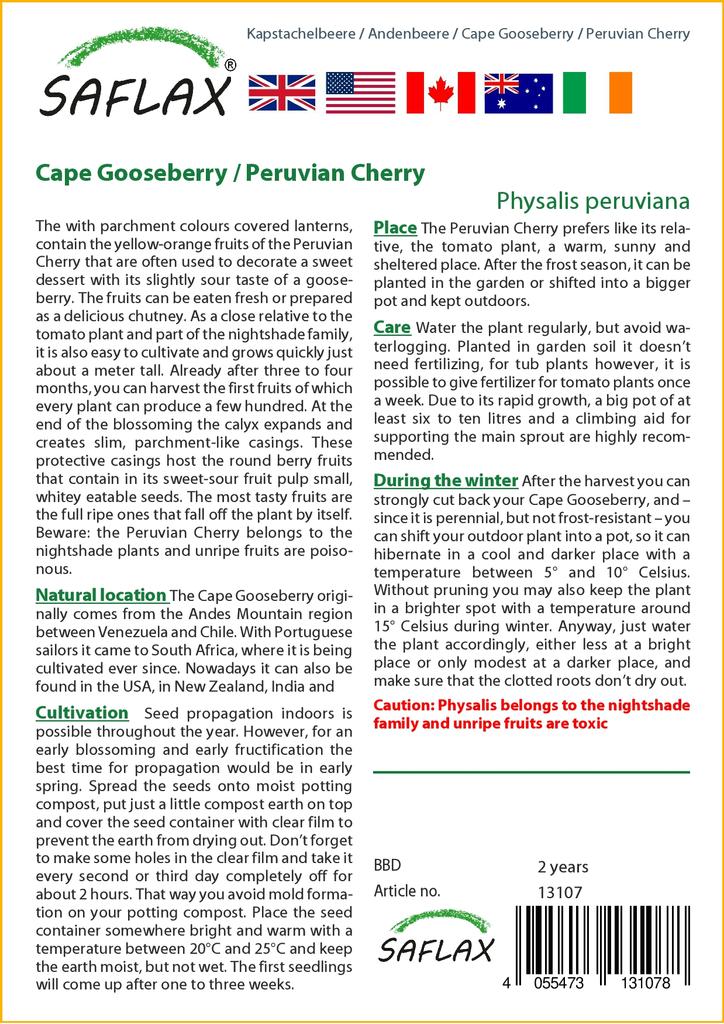 SAFLAX Капский крыжовник / Перуанская вишня - 100 семян - Physalis peruviana