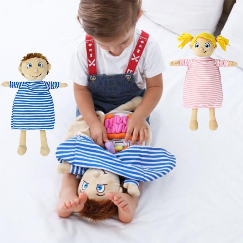 Organ Anatomy Plush Toy Montessori Preschool Teaching Aid