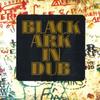 LP Пластинка BLACK ARK PLAYERS - Black Ark In Dub VPRL2710 17 North Parade 1981 US Reggae, Ska & Dub