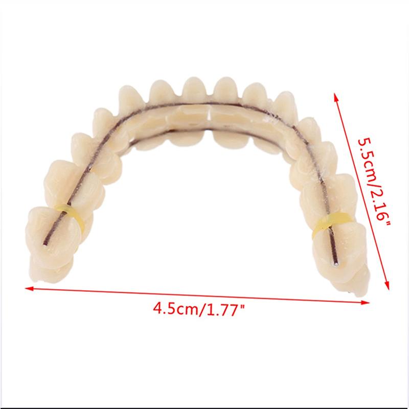 Dental Tooth Models for Patients with Oral Defects, Dental Supplies and Accessories To Repair Bad Teeth and Missing Teeth