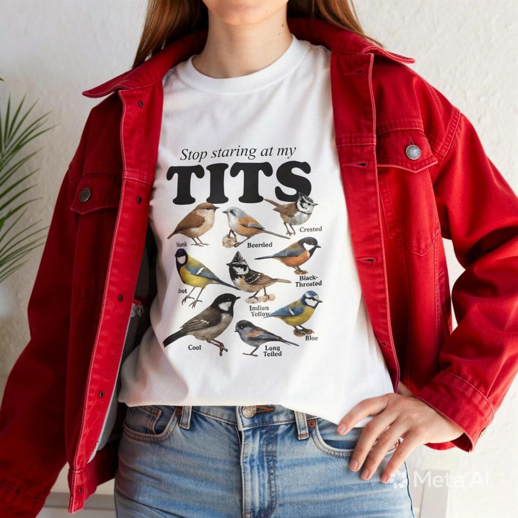Stop Staring At My Tits Shirt Funny Meme Bird Tee, Vintage Style T Shirt, Offensive Humor Tee, Gen Z Gag Gift, Inappropriate Funny Gag Gift