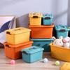 Plastic Sundries Storage Box with Handle Large Capacity Desk Organizer for Cosmetics Jewelry Toys Snack Clothes Storage Basket