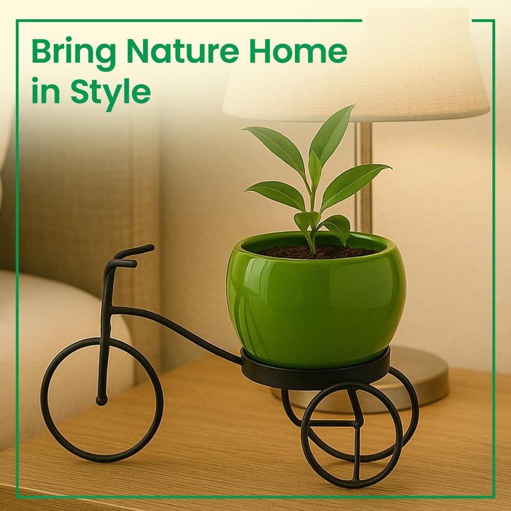 Cycle-Shaped Metal Plant Stand for Indoor & Outdoor Use, Metal Cycle Flower Vase, Decorative Iron Planter Pot Holder for Flowers & Ornaments