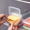 1pc Butter Cheese Storage Box Portable Refrigerator Fruit Vegetable Fresh-keeping Organizer Box Transparent Cheese Container