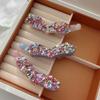 New Hairpin with Luxurious Colored Rhinestones, Ponytail Clip, Elegant and Refined Hair Accessory, Hair Clip
