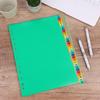 Extra Wide Index Dividers Extended ert Indexes Binder Tab ertable Dividers Plastic Document Organisers - Assorted Color 6-Tab, Number, 31 Pieces