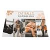 Календарь Cat Balls 2024 на 12 месяцев. Забавный календарь Cat Balls. Календарь Cat Butthole для любителей кошек.