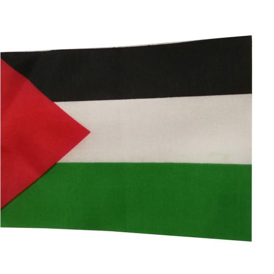 Ручные флаги Палестины, мягкие износостойкие, не выцветающие, изысканный узор, размахивающие руками, украшения национальных флагов Палестины