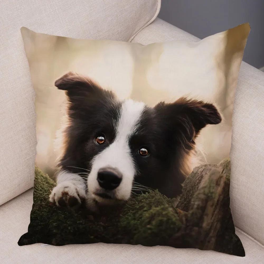 Милый Домашний Питомец Наволочка Шотландия Бордер Колли Наволочка для Дивана Автомобильного Декора Принт Собаки Мягкая Плюшевая Наволочка