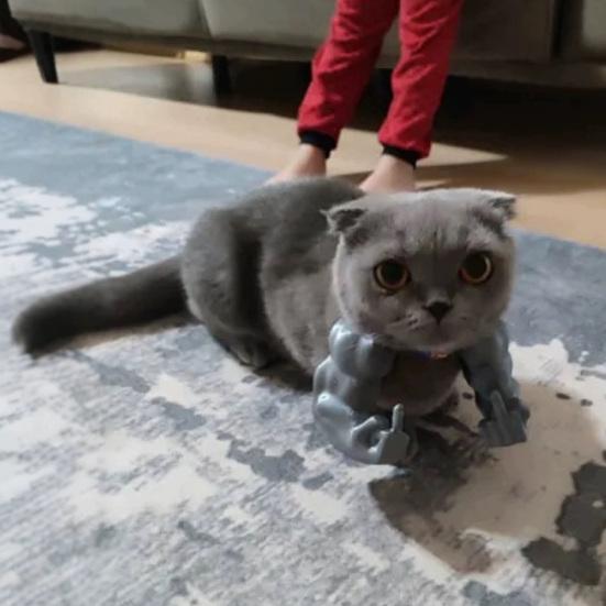 Костюм кота-мускула для руки, 3D-печать, реквизит для питомца, подвесная рука, смешной аксессуар для косплея супергероя для вечеринки по случаю дня рождения