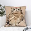 Наволочка Мяу Кошка Сова Мем Удобная Наволочка Для Дивана Кушетки Кровати Гостиной Смешные Наволочки