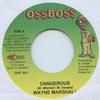 7-дюймовая пластинка WAYNE MARSHALL / DANNY ENGLISH - Dangerous / I Like Oss Boss 2006 Ямайка Регги, Ска и Даб