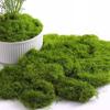 Искусственный зеленый мох для горшечных растений, поделок, 150 г, искусственный мох для украшения стола, свадебных рождественских украшений