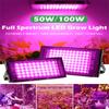 200w Led Grow Light 180 Degree Adjustable Full Spectrum Hydroponic Plant Growing Lamp For Indoor