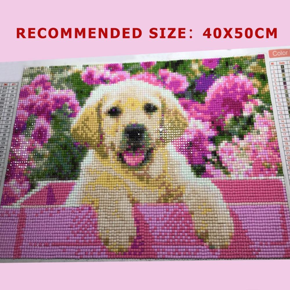 Полный круглый/квадратный алмазная живопись собака 5D DIY животное Алмазная вышивка набор крестиков подарок ручной работы украшение дома