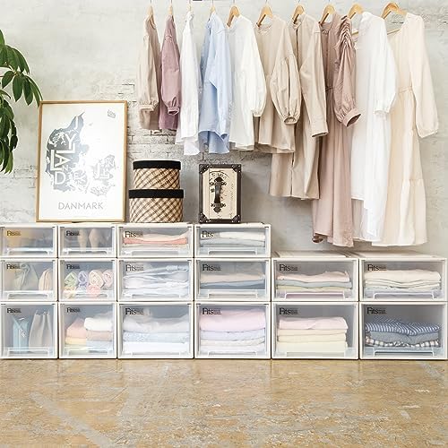 Tenma Fits Case Storage Box, Small Organizer, 22.4cm Wide x 30.7cm Deep x 12.4cm High, Sagging-Resistant Storage Case for Small Items and Clothing, Co