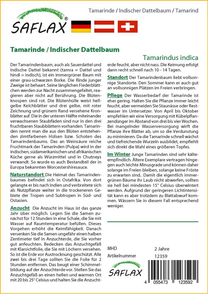 SAFLAX Подарочный набор - Тамаринд - 4 семени - С подарочной коробкой, карточкой, этикеткой и субстратом для горшков - Tamarindus indica