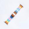 Resin Rainbow Transparent For Apple Watch Band 44mm 45mm 38 40mm 42 41mm 49mm 44 45 Strap Bracele iWatch Series 8 7 6 SE 5 4 3 2 Band