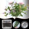 2Pcs Spiral Ikebana Stem Holder DIY Bouquet Twister Vase Flower Arranger Grid Multi-holes Plant Fixation Stand Floral Arrangement Tool