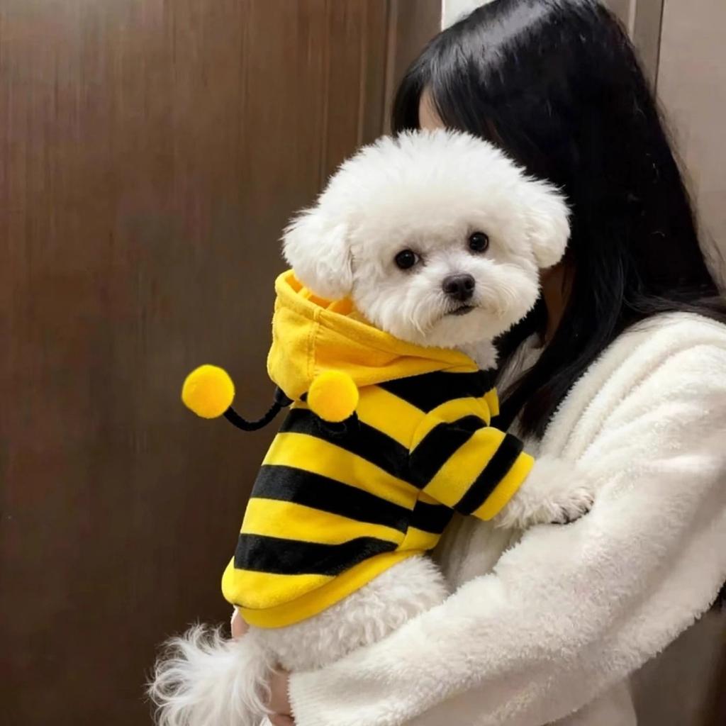 Wholesale Pet Flannel Cute Bee Bigbear Teddy Pomeranian Schnauzer Puppy Dog Cold Warm Clothing