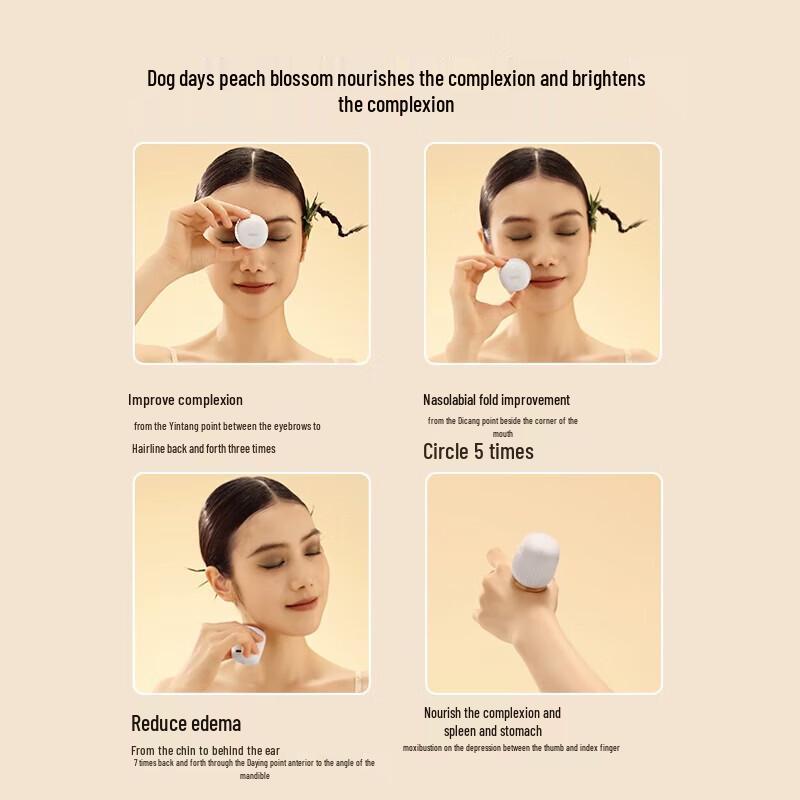 Breo Smart Portable Mini Moxibustion Device 2-Pack CN plug (adapter included)