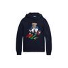 Polo SS24 Bear Pattern Letter Hoodie Long Sleeve Knit Sweater Men Sweater Dark-Blue MNPOSWE16821783-410