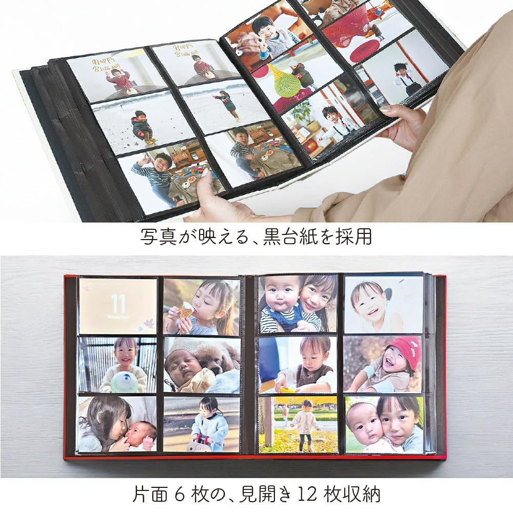 Nakabayashi Large Capacity 6-Pocket Photo Album, Holds 960 L-size Photos, Therapy Color, 2 Columns x 3 Tiers, TCPK-6L-960-HG/EC, Harmony Green. (Photo