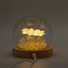 Floral Glow Garden Dome – 10 Pink Roses – LED USB