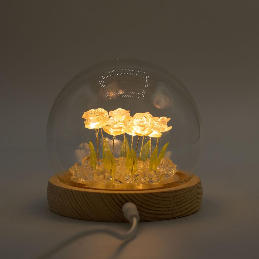 Floral Glow Garden Dome – 10 Pink Roses – LED USB