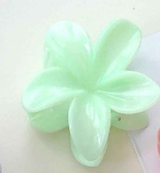 Mingyue Plumeria Gradient Hair Claw Clip