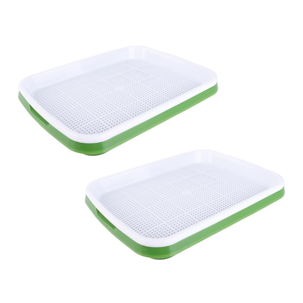 Sprouting Tray Transparent Lid Dense Small Holes Fine Workmanship Plastic Material Seed Sprouter
