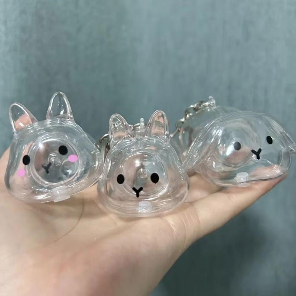 Keyrings Memorial Pet Hair Storage Keychain Transparent Rabbit Hair Storage Box Jewelry Gifts
