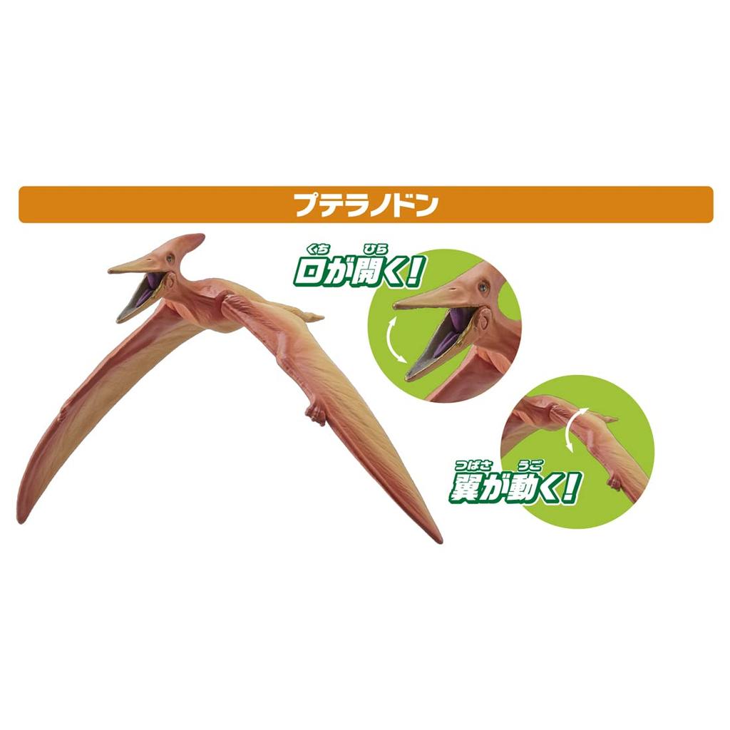 TAKARA TOMY Земля и воздух Популярный динозавр Животное Динозавр Реалистичная движущаяся фигурка Игрушка Возраст от 3 лет и старше Соответствует стандартам безопасности игрушек Сертификация ST Mark