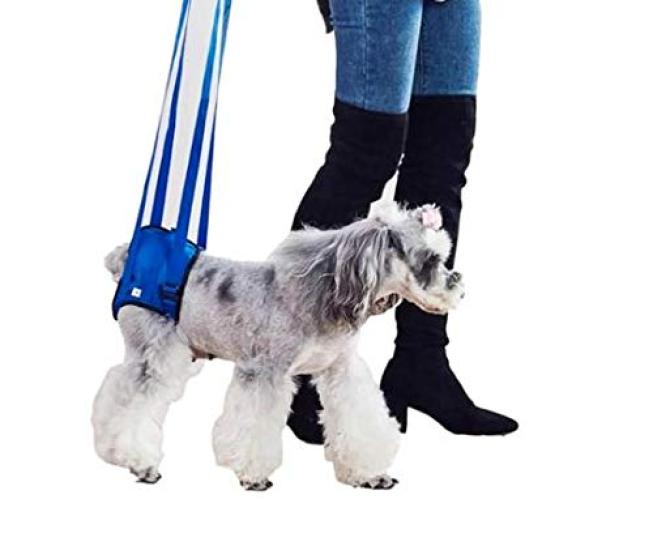 Dog Harness for Nursing Walking For Elderly Rescue For Hind Come For Small Easy To Attach Walking, Care, Assistance, Aid, Dogs, Dogs, Legs, Doesn't